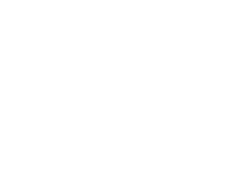 Marcel Birkner Logo weiss